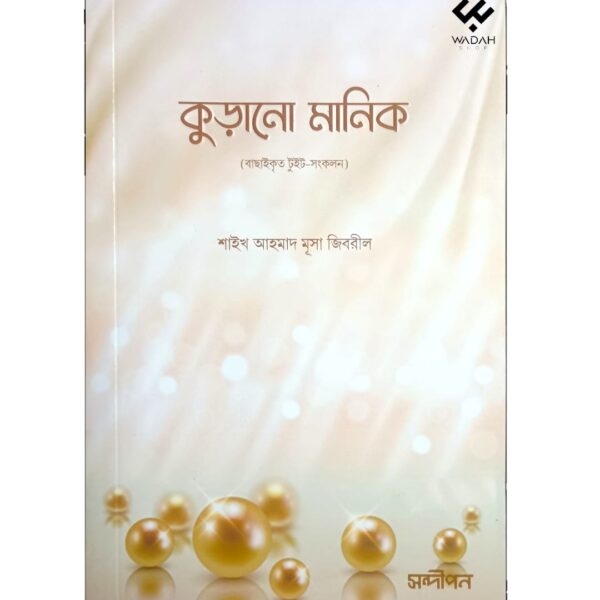 কুড়ানো মানিক